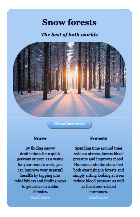 snow forest website